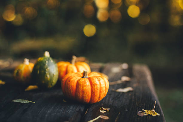 istock Thanksgiving background with pumpkins on a rustic wooden table 1182655282