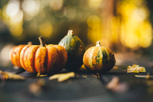 istock Thanksgiving background with pumpkins on a rustic wooden table 1182655285
