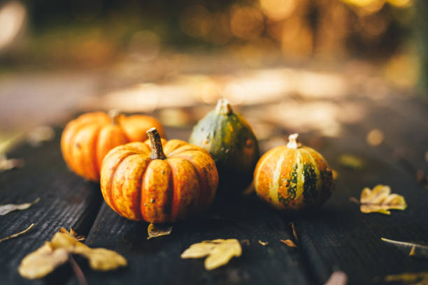 istock Thanksgiving background with pumpkins on a rustic wooden table 1182655294
