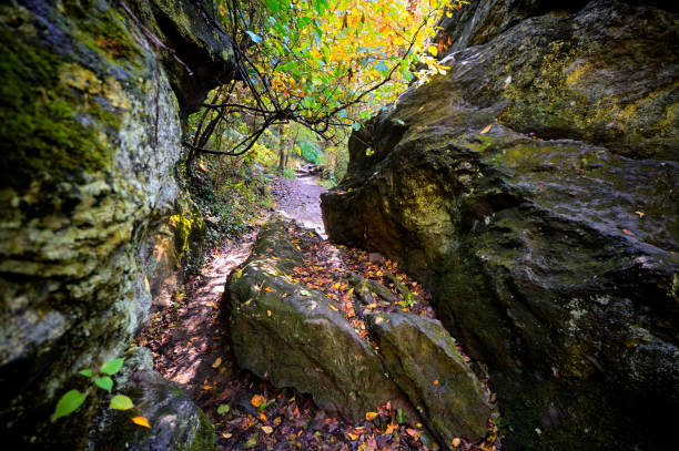 Rock formations along the Orange Trail are speckled with vibrant Fall colors as Autumn nears its Fall nears it peak in the Wissahickon Valley section of Fairmount Park, in Northwest Philadelphia, Pennsylvania, on October 21, 2019.