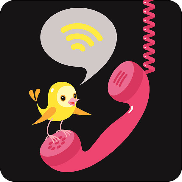 Canary&receiver.  animal call stock illustrations