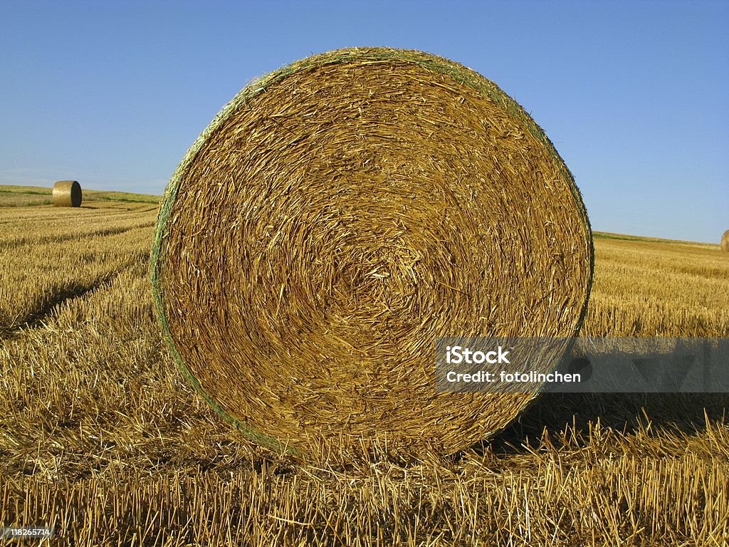 Big heno Bales - Foto de stock de Agricultura libre de derechos