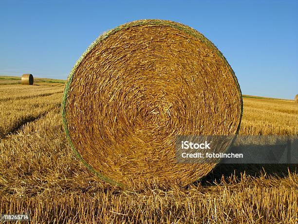 Big Heno Bales Foto de stock y más banco de imágenes de Agricultura - Agricultura, Aire libre, Azul
