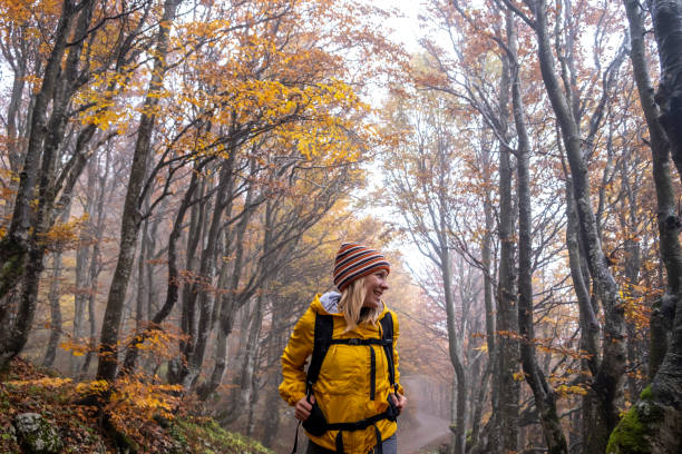 frau in gelben cape zu fuß durch schönen herbst farbigen wald - women winter autumn nature stock-fotos und bilder