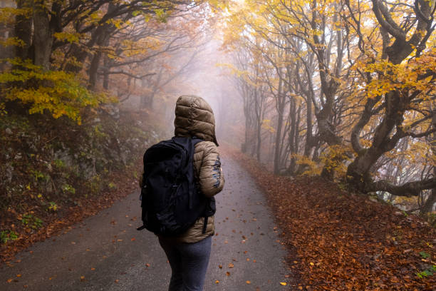 Woman walking through beautiful Autumn Colored Forest