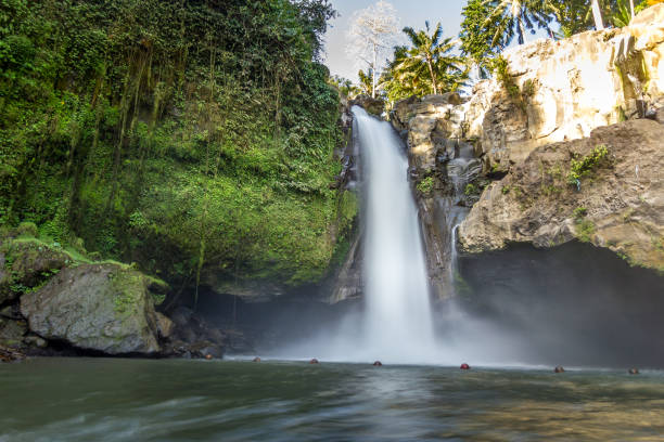 istock Tegenungan Waterfall, Ubud, Bali, Indonesia 1182658847