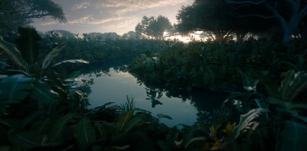 schöner sonnenuntergang im dschungelparadies. dichte regenwaldvegetation und ruhiger fluss. 3d-rendering. - forrest lake lichtstimmung nebel stock-fotos und bilder