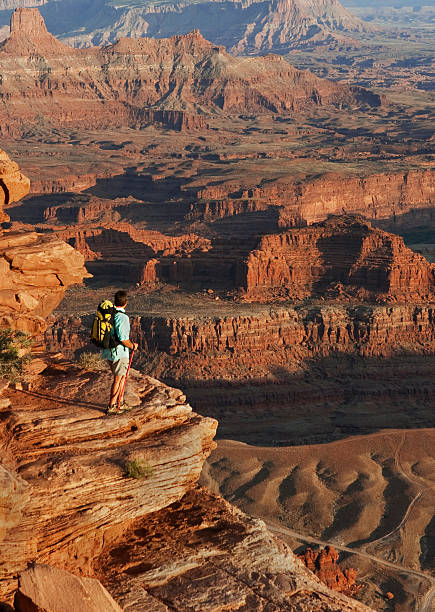 istock Hiker Standing On Rocks Looking At Canyons National Park 118266339