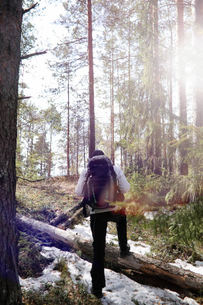 istock A man is a tourist in a pine forest with a backpack. A hiking trip through the forest. Pine reserve for tourist walks. A young man a hike in the spring. 1182670691