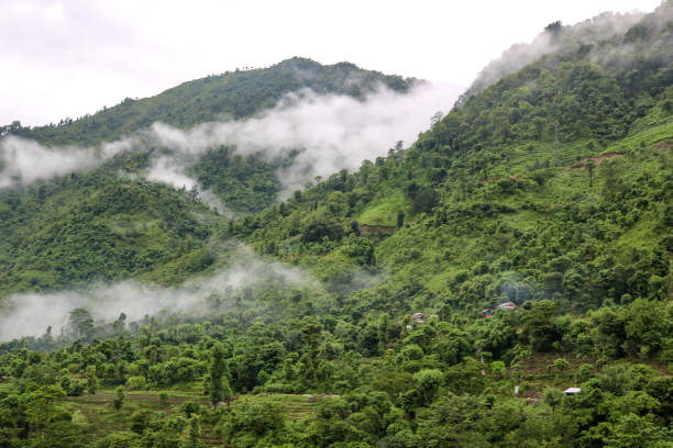 Mountains with forest in the clouds on the banks of the Seti Gandaki river in Nepal Mountains with forest in the clouds on the banks of the Seti Gandaki river in Nepal bharatpur photos stock pictures, royalty-free photos & images