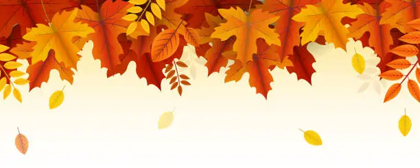 Vector illustration of autumn falling leaves