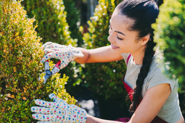 Gardener pruning plants in garden center Smiling mixed race woman cutting longer branches to make perfect shape. Pruning concept at the garden center. pruning gardening photos stock pictures, royalty-free photos & images