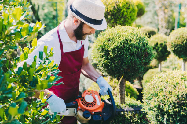 istock Gardener pruning plants in garden center 1182673088