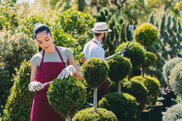Gardeners working in garden center