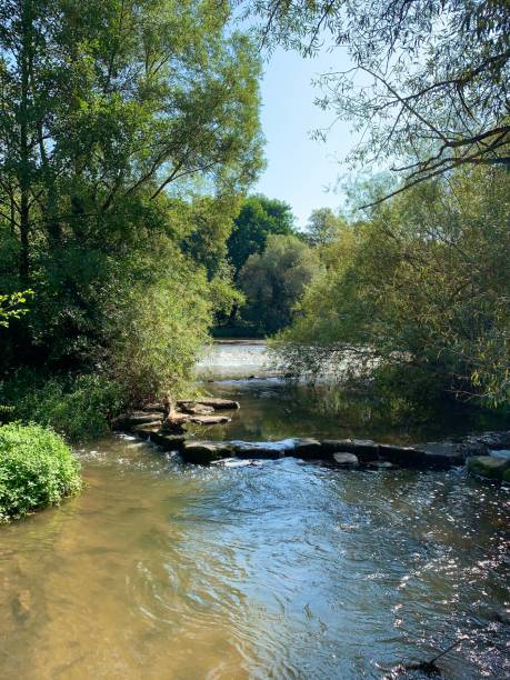 istock Idyllic little brook in the sun 1182674218