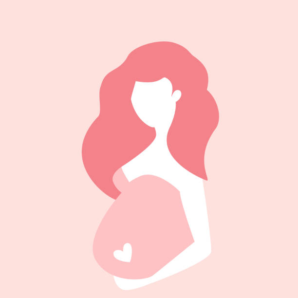 314 Cartoon Of The Large Pregnant Belly Illustrations & Clip Art - iStock
