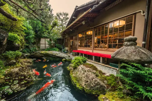 This is a photograph of a beautiful serene koi pond in a Japanese garden outside of a restaurant in Kyoto, Japan.