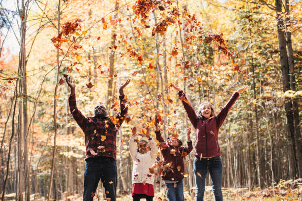 famille métisse dans une forêt, jetant des feuilles d'érable - canada photos photos et images de collection