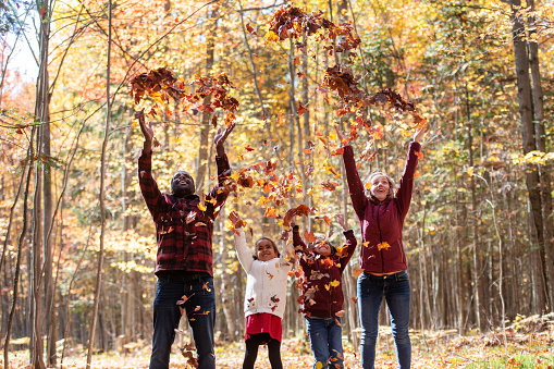 Mixed race family throwing  maple leaves, during autumn, Quebec, Canada