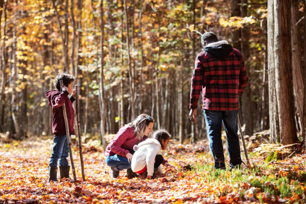 istock Mixed raced family in the forest 1182680478