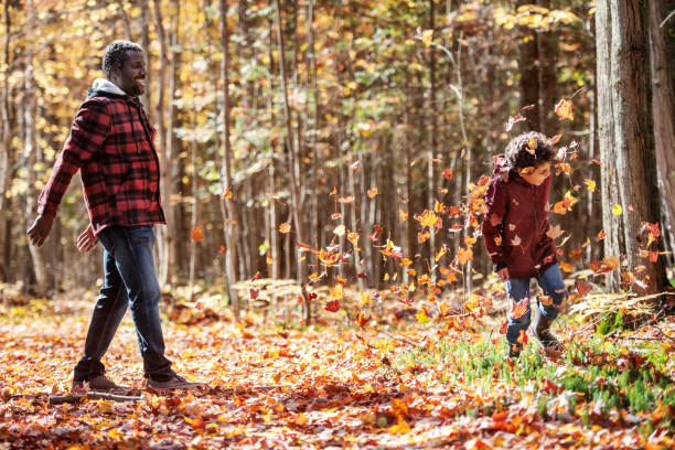 Mixed race family in a forest, throwing maple leaf, during autumn, Quebec, Canada
