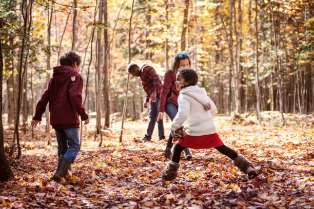 istock Mixed raced family in a forest, throwing maple leaves 1182680598