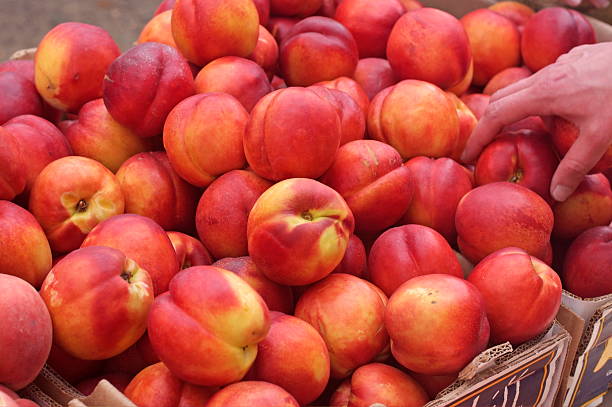istock Nectarines at the farmer's market 118268236