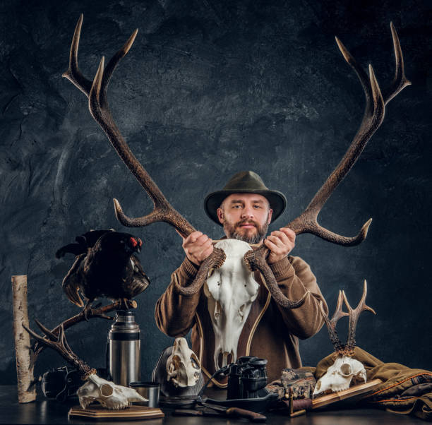 istock Mature bearded hunter in hat holding a big deer skull while standing next to a table with equipment and trophys. 1182682528