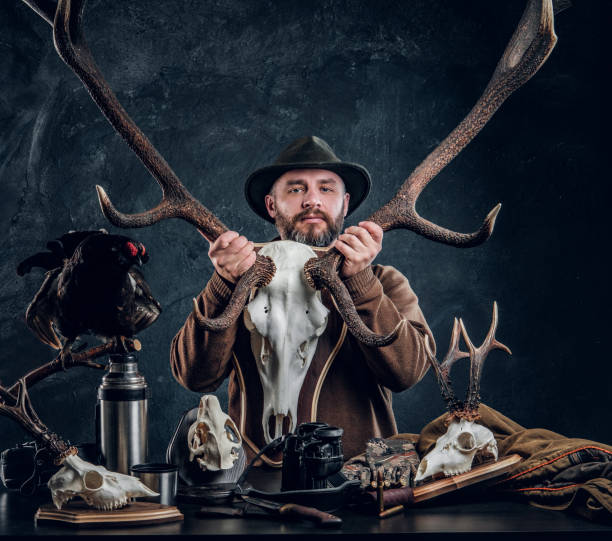 istock Mature bearded hunter in hat holding a big deer skull while standing next to a table with equipment and trophys. 1182682740