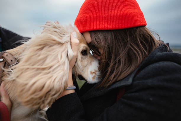 istock The couple is playing with their dog in the fall 1182682845
