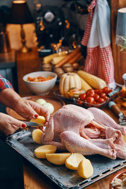 istock Preparing Stuffed Turkey for Holidays in Domestic Kitchen 1182683189