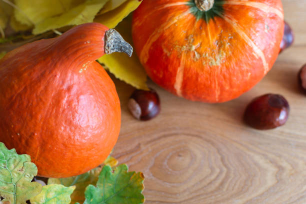 istock Autumn background with orange pumpkins 1182683287