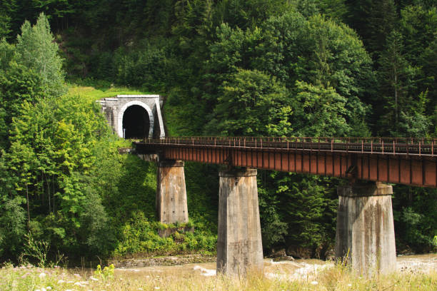 istock Railway tunnel and a bridge in summer. 1182684256