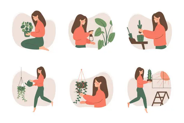 Vector illustration of Cute girl takes care of houseplants.