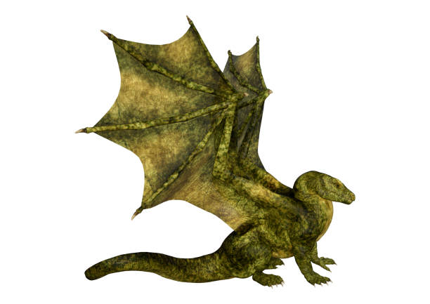 istock 3D illustration fantasy dragon on white 1182686603