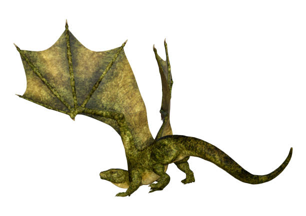 istock 3D illustration fantasy dragon on white 1182686623