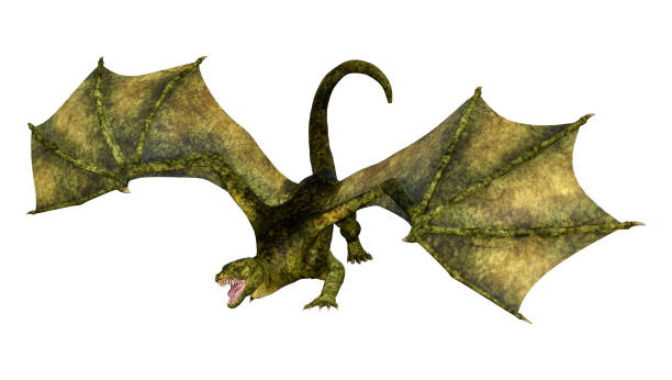istock 3D illustration fantasy dragon on white 1182686624