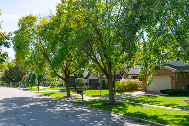 Green Tree Lined Street at a Suburban Midwestern Neighborhood with Homes A suburban Midwestern neighborhood street lined with green trees and homes during a sunny day illinois photos stock pictures, royalty-free photos & images