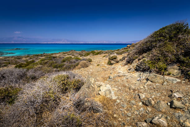 paesaggi dell'isola di chrissy in una soleggiata giornata estiva con alberi secchi, terreno marrone e cielo cristallino blu con foschia. - chrissy foto e immagini stock