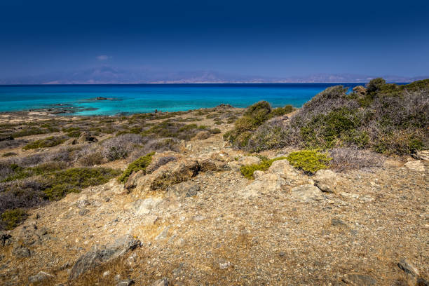 paesaggi dell'isola di chrissy in una soleggiata giornata estiva con alberi secchi, terreno marrone e cielo cristallino blu con foschia. - chrissy foto e immagini stock