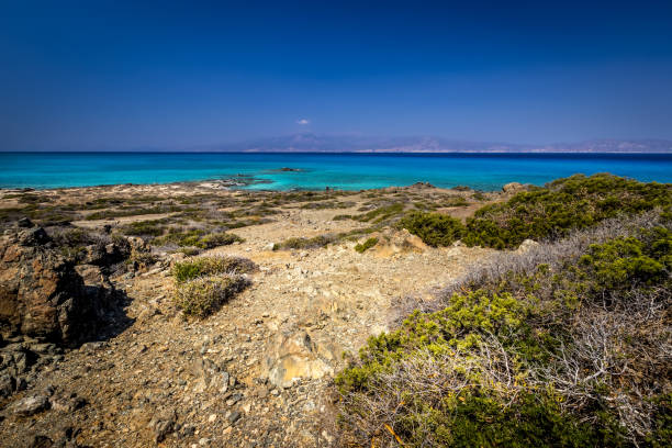 paesaggi dell'isola di chrissy in una soleggiata giornata estiva con alberi secchi, terreno marrone e cielo cristallino blu con foschia. - chrissy foto e immagini stock