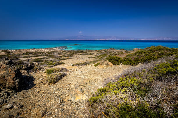 건조한 나무, 갈색 토양, 안개가 있는 푸른 맑은 하늘이 있는 화창한 여름날의 크리스시 섬 풍경. - chrissy 뉴스 사진 이미지