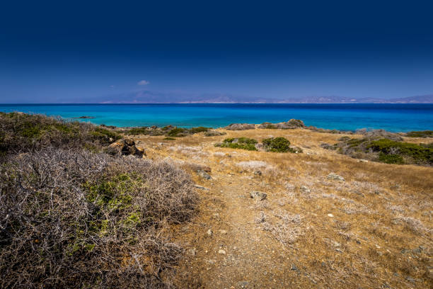 乾燥した木々、茶色の土壌、曇りの青い澄んだ空と晴れた夏の日にクリッシー島の風景。 - chrissy ストックフォトと画像