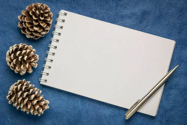 blank art sketchbook with frosty pine cones against arak blue handmade paper, winter holiday greeting card concept