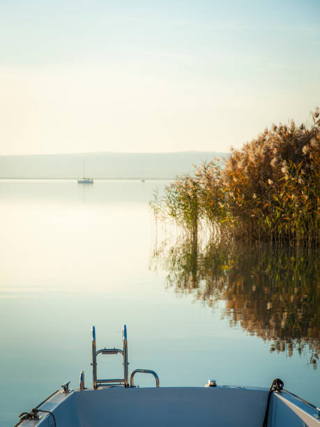 istock Sailing ships at lake neusiedl at sunset 1182691828