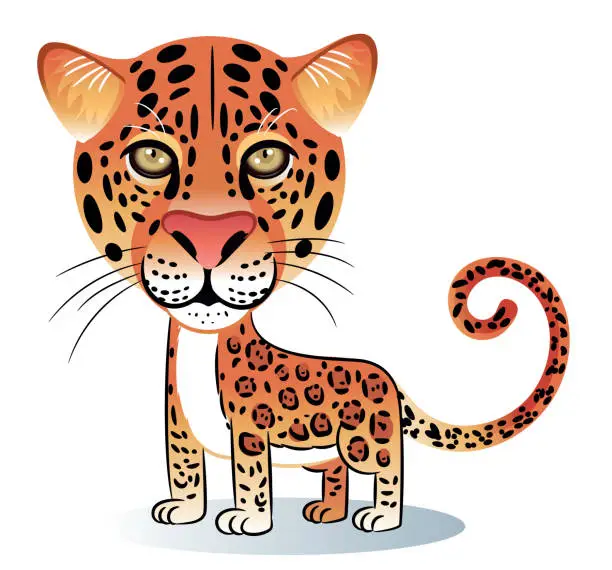 Vector illustration of Leopard