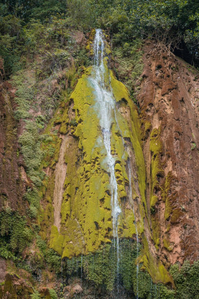 istock wonderful view from below of El Limon tropical waterfall 1182697151