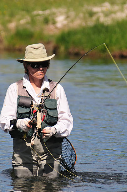 hembra de pesca - río firehole fotografías e imágenes de stock