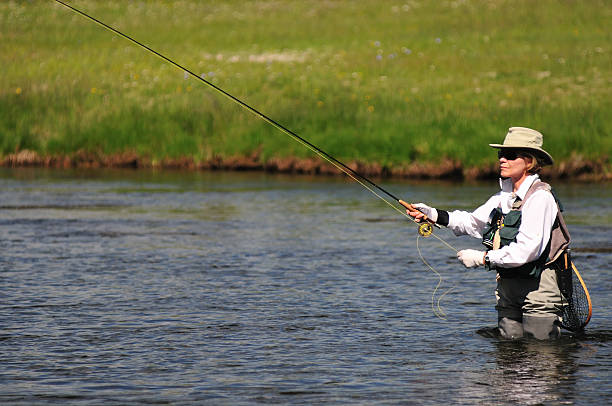 río angler - río firehole fotografías e imágenes de stock