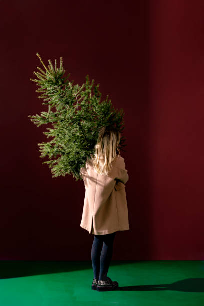 Unrecognizable Woman Holding Christmas Tree Unrecognisable woman in camel winter coat holding Christmas tree on her shoulder. camel colored stock pictures, royalty-free photos & images